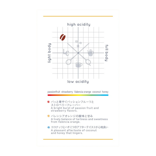 Colorful Blend Autumn