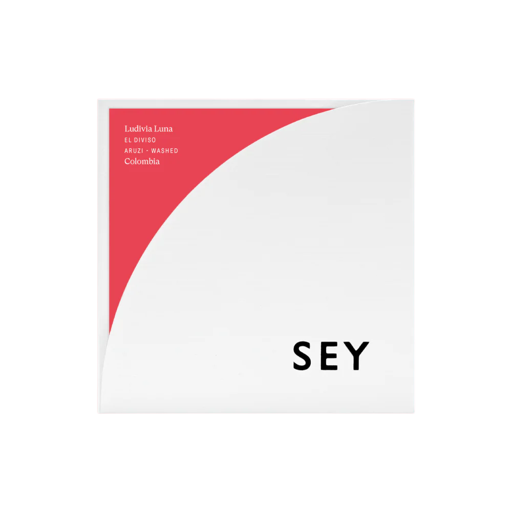 Ludivia Luna El Diviso Washed