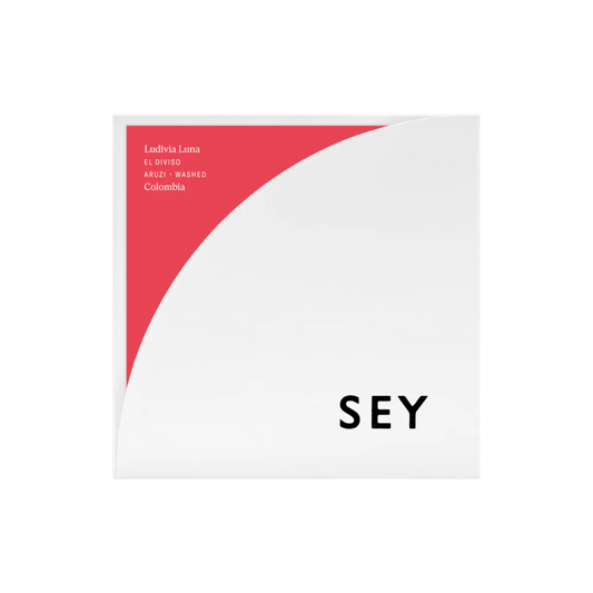 Ludivia Luna El Diviso Washed