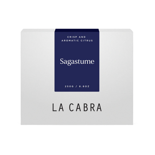 Sagastume Washed Parainema