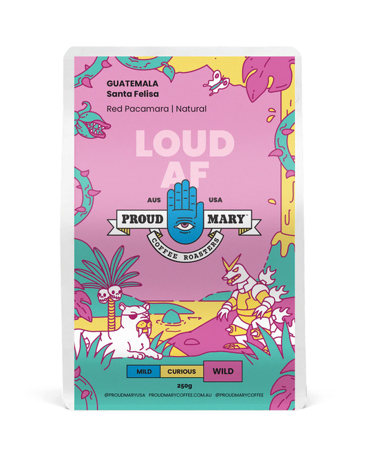 Guatemala Santa Felisa Natural