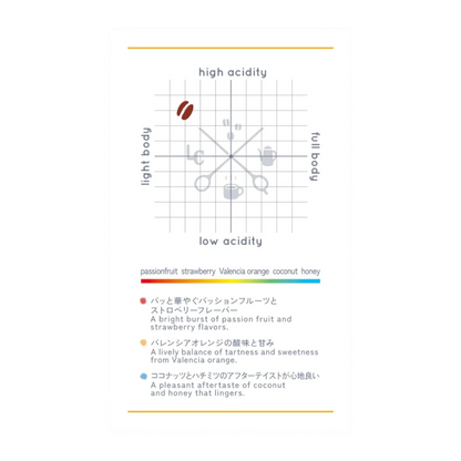 Colorful Blend Autumn