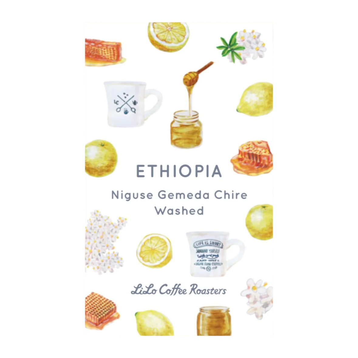 Ethiopia Niguse Gemeda Chire Washed