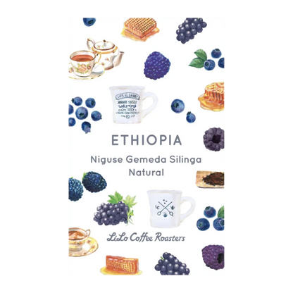 Ethiopia Niguse Gemeda Silinga